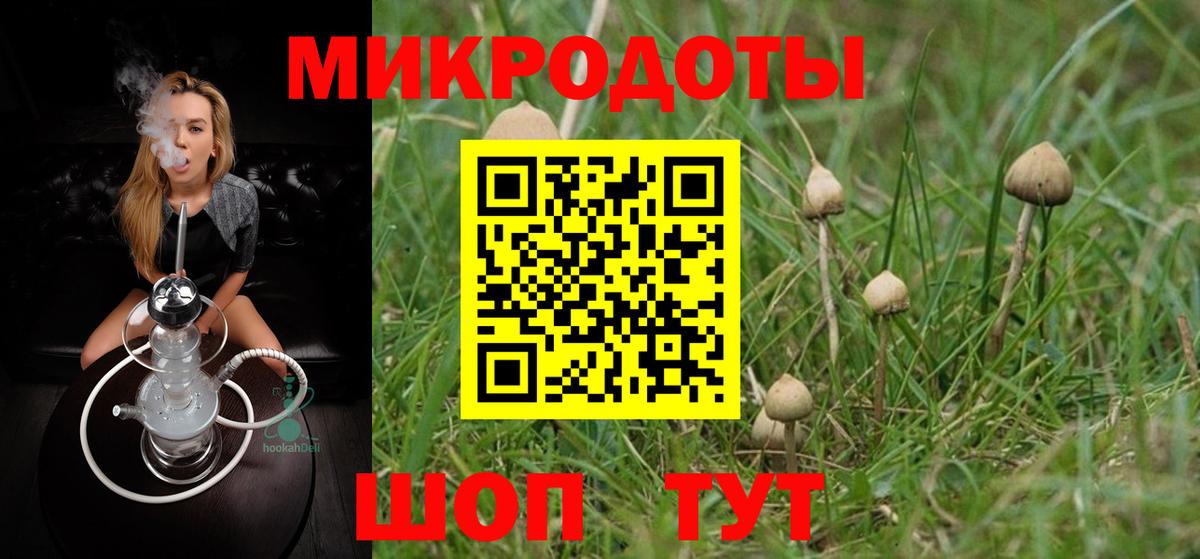 Галлюциногенные грибы прущие грибы Чапаевск