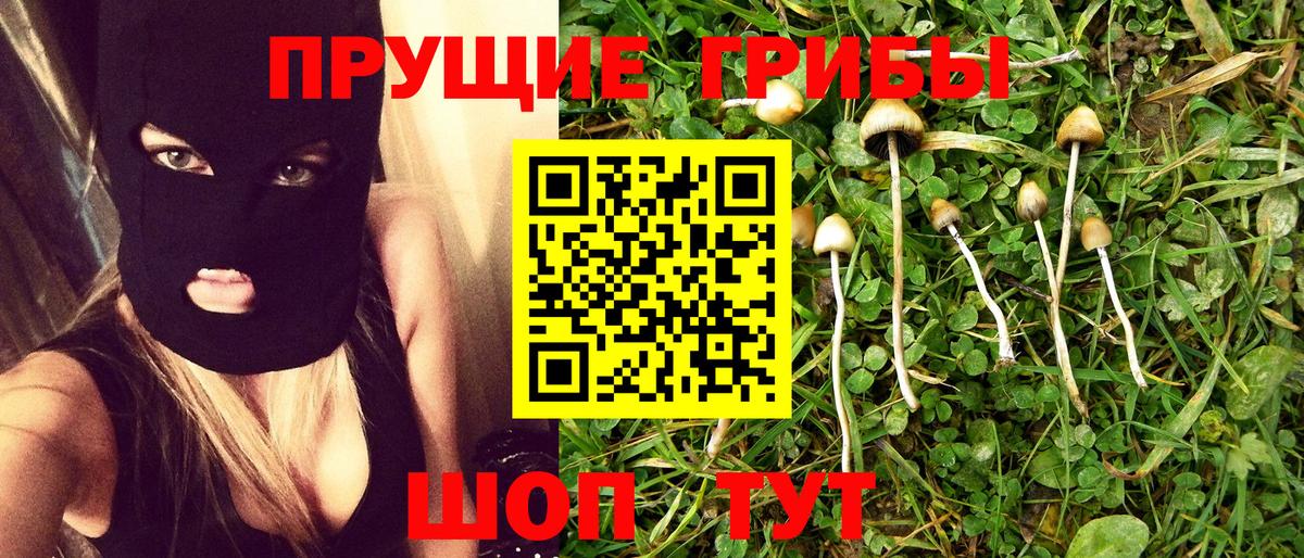 Псилоцибиновые грибы Psilocybine cubensis  Вход с VPN  Чапаевск 